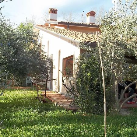 Villa Ambrosia Múggia Kültér fotó