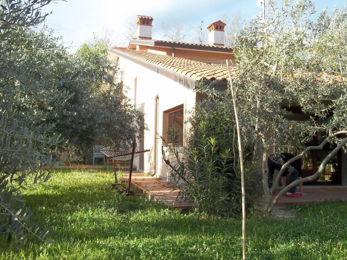 Villa Ambrosia Múggia Kültér fotó
