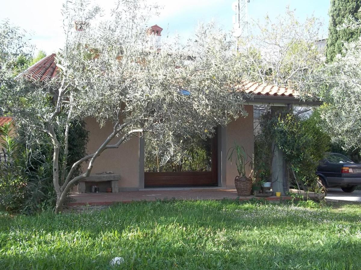 Villa Ambrosia Múggia Kültér fotó